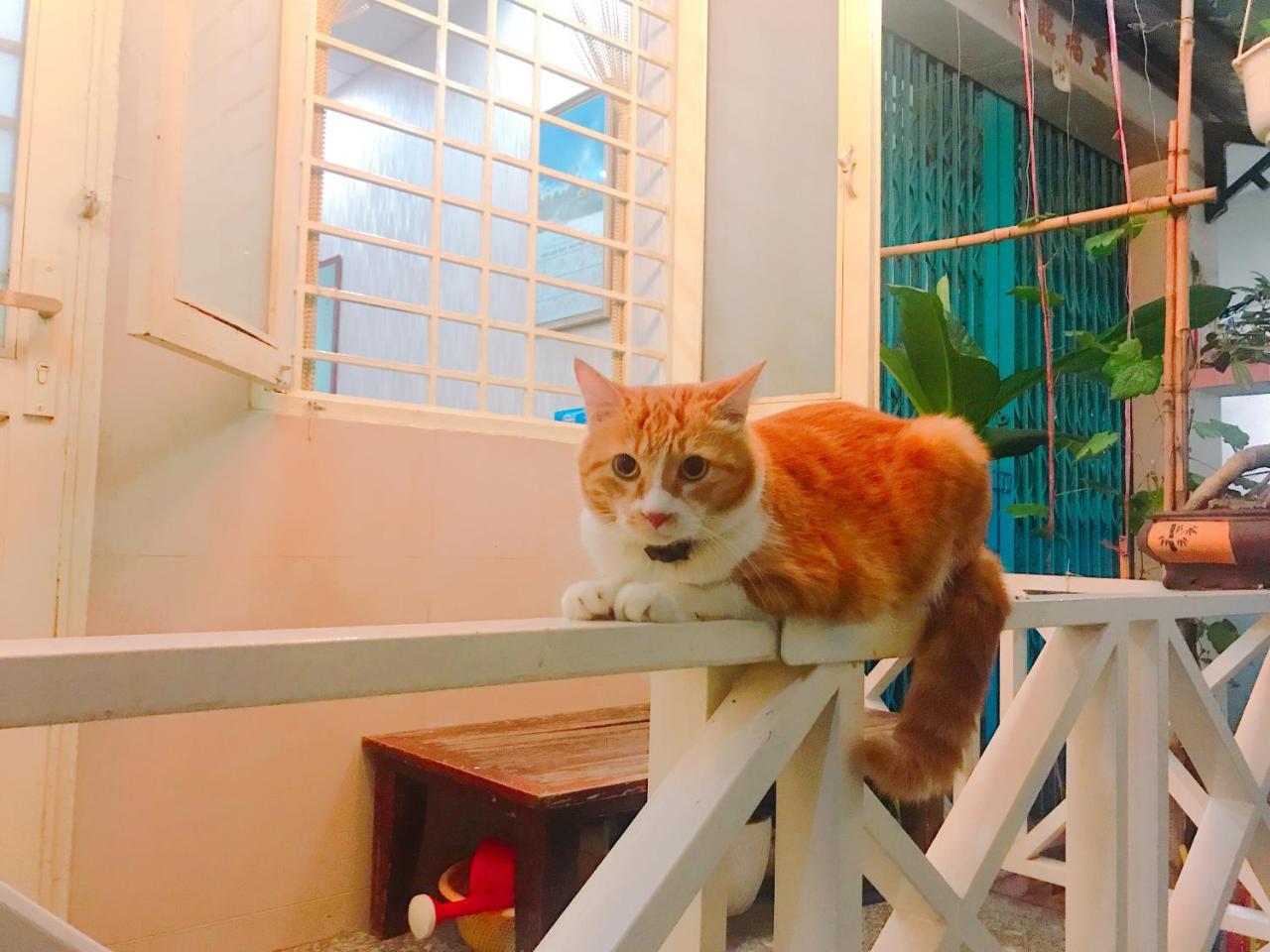 Qcub1 Homestay Ho Chi Minh-stad Buitenkant foto